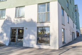 Salong Molins